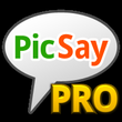PicSay Pro 1.8.0.5 APK Download